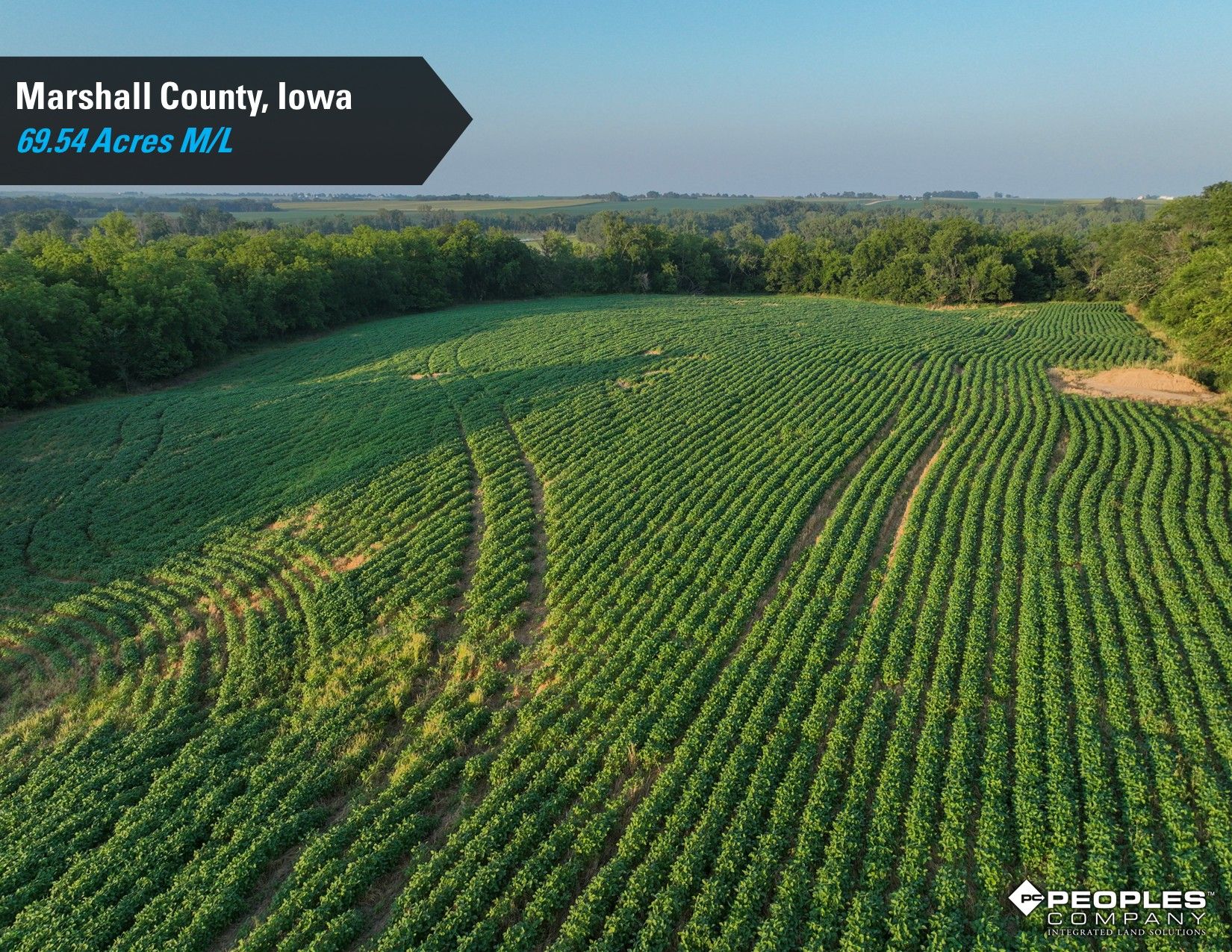 Listing Photo: Marshall-County-Iowa-Online-Land-Auction-Recreational-Property-Smith-Estate (4)